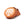 Load image into Gallery viewer, Homegrown® Standard Tiger Style