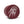 Load image into Gallery viewer, Homegrown® Standard Tiger Style